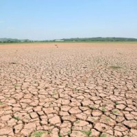 'Comprehensive efforts needed to tackle looming water scarcity in Pak'