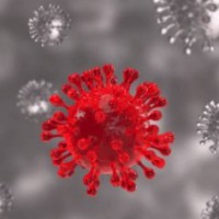 Chandigarh reports first Omicron case