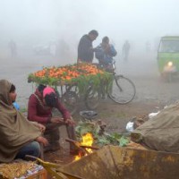 Cold wave grips Raj, Fatehpur shivers at -1.6 degrees