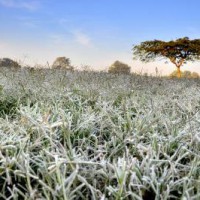 Rajasthan braces for cold wave conditions on Tuesday too