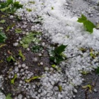 Hailstorms in central India, wet spell for northwest to continue