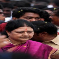 Sasikala expresses concern over rising potash prices