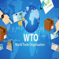 India rejects WTO Panel's findings on its sugar policies