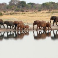 Domestic tourism booms in Zimbabwe despite curbs
