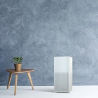 Indoor air much safer than outside in Nov-Dec in Delhi-NCR: Study