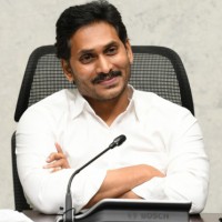 Andhra CM pitches for millet cultivation, organic farming