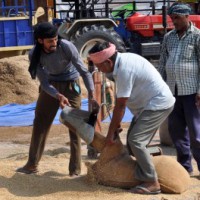 Another Telangana delegation for Delhi over paddy procurement