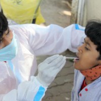 Karnataka sees 566 new Covid cases in single day