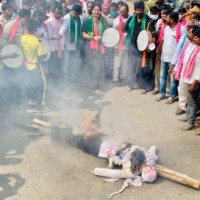 TRS holds statewide protests against Centre's 'anti-farmer policies'