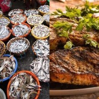 Itanagar civic body bans trading endangered fish, wild meat