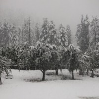 White Christmas likely in Kashmir, Ladakh this year