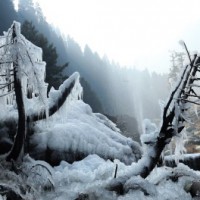 Intense cold wave engulfs J&K, Ladakh