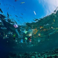 Plastic waste sculpture museum to come up near Bengaluru