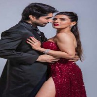 Harshad Chopda, Smriti Kalra join musical series 'Aakhiri Mulaqaat'