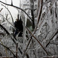 Night temperatures rise as 'Chillai Kalan' starts in Kashmir