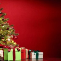 Christmas spirit grips northeast, hectic activity all over
