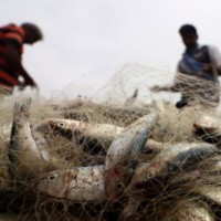 Relief package announced for Gujarat fishermen