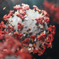 UK reports 12 deaths due to Omicron