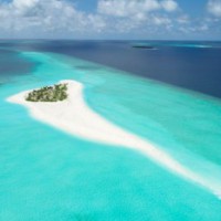 Maldives receives compensation for reef damaged by cargo ship