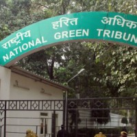 NGT asks UP to curb pollution in Yamuna