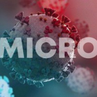 No 'Delmicron' virus yet, time to fight Omicron: Health experts