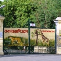 As winter sets in, special diet for UP zoo animals