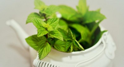 The abundant health benefits of mint leaves The abundant health benefits of mint leaves