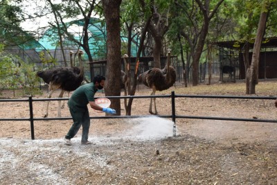 Gwalior Zoo to reopen for tourists from Feb 15 Gwalior Zoo to reopen for tourists from Feb 15