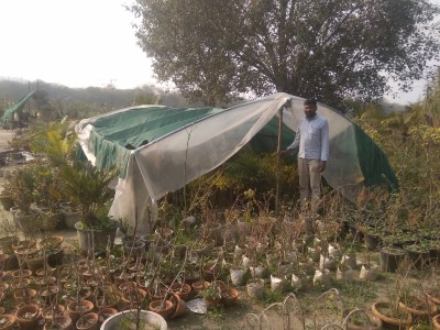 Roadblock due to farmers' protest at Singhu hits nursery business Roadblock due to farmers' protest at Singhu hits nursery business