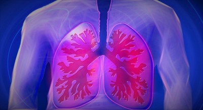How bacteria defeat cystic fibrosis drugs How bacteria defeat cystic fibrosis drugs
