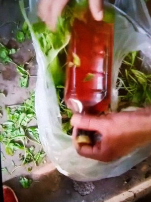 2 Bihar labourers die in 'hooch poisoning' 2 Bihar labourers die in 'hooch poisoning'