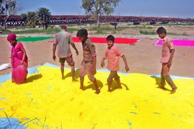Bura na maano Covid hai: Experts on Holi Bura na maano Covid hai: Experts on Holi