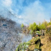 Army helps douse major forest fire along China border in Arunachal