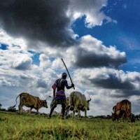 New farm laws will benefit small, marginal farmers most: PM