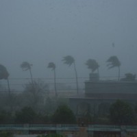 Thunderstorms, lightning in parts of southern AP on Sunday