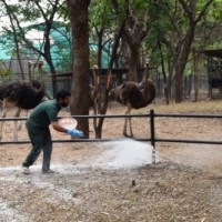 Gwalior Zoo to reopen for tourists from Feb 15
