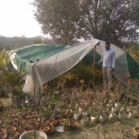 Roadblock due to farmers' protest at Singhu hits nursery business