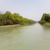 MP: Bus falls in canal, 7 rescued