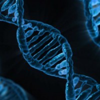 Gene-based blood test for melanoma spread evaluates treatment progress