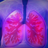 How bacteria defeat cystic fibrosis drugs