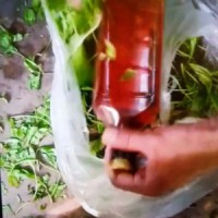 2 Bihar labourers die in 'hooch poisoning'