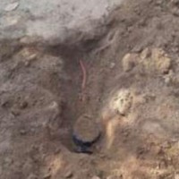 Police, Army foil Maoists terror plot, deactivate 83 IEDs