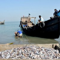 Centre finalises One District One Focus Product to promote in cluster approach