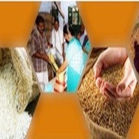 Punjab 13th state to complete One Nation One Ration Card reform