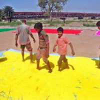 Bura na maano Covid hai: Experts on Holi