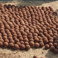 Maha: 406 Chhatrapati-era cannonballs dug up in Pavangad Fort