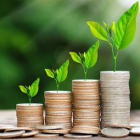 Govt may look at AMC/ARC model for asset monetisation programme