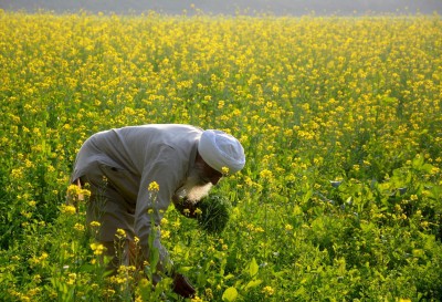 Rural consumption in Q3FY22 estimated to have grown 2% YoY Rural consumption in Q3FY22 estimated to have grown 2% YoY
