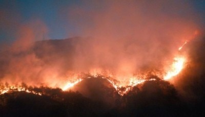 New report offers solutions for planetary crisis like wildfires New report offers solutions for planetary crisis like wildfires