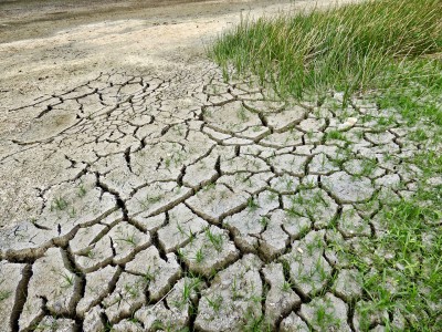 African campaigners renew call for action on climate emergencies African campaigners renew call for action on climate emergencies